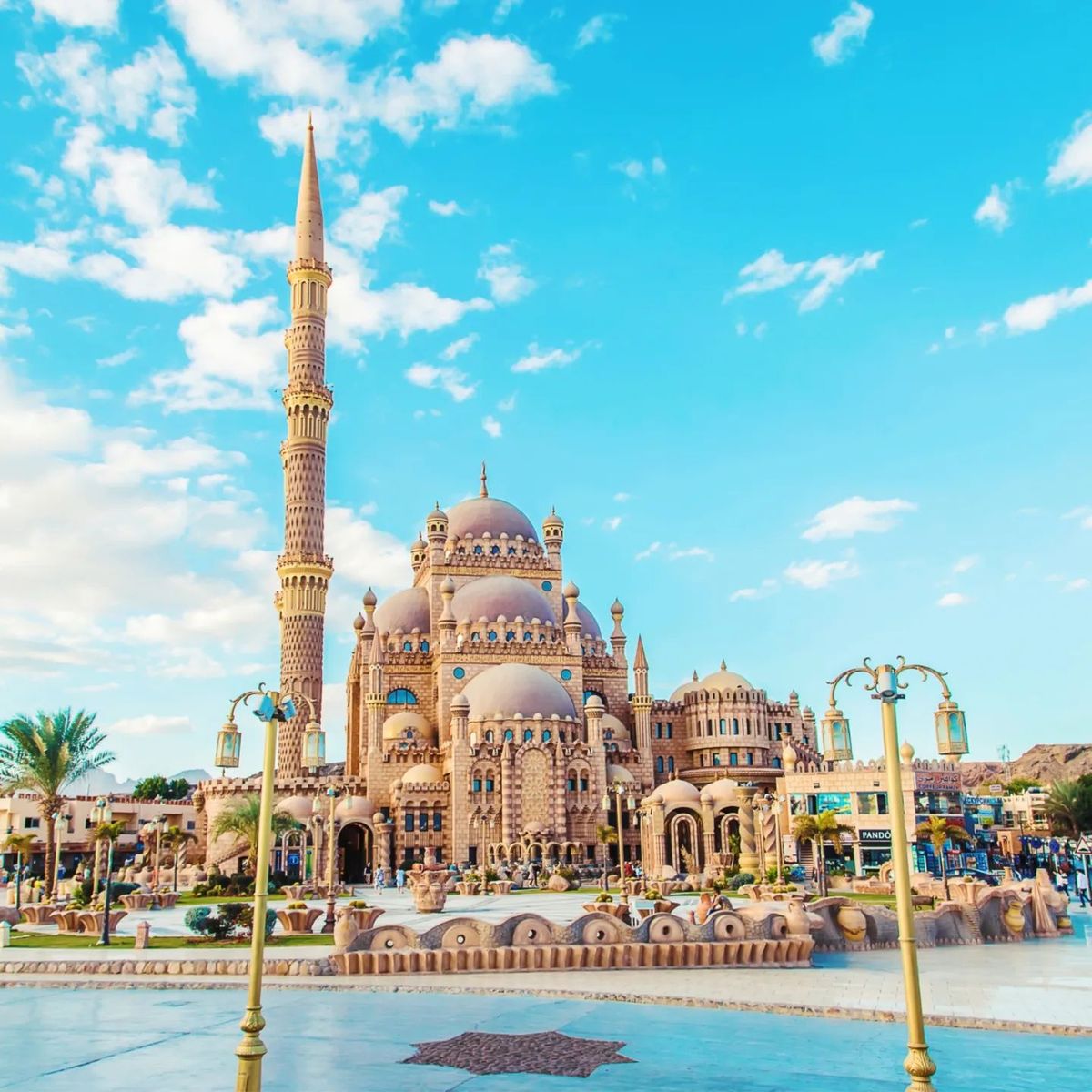 Sharm El Sheikh (All Inclusive)  5 or 4 stars Hotels
